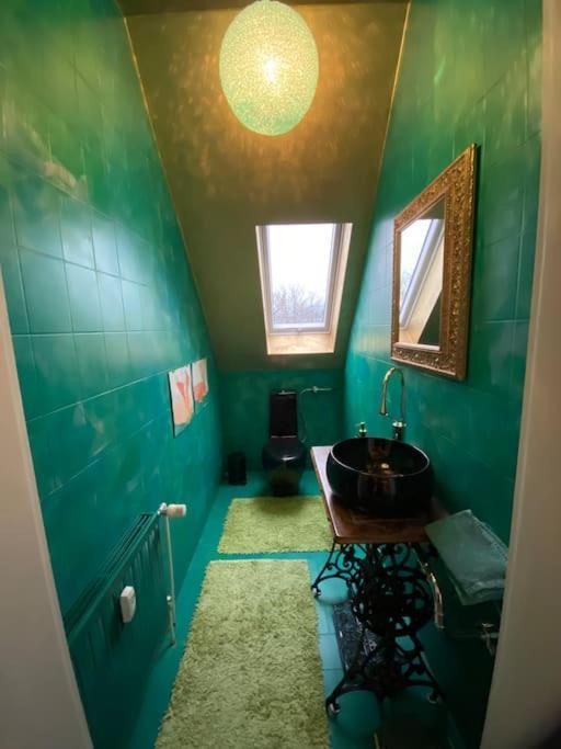 Ferienwohnung In Historischer Villa Mit Gartennutzung Furth im Wald Dış mekan fotoğraf